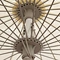 Patio Umbrella
